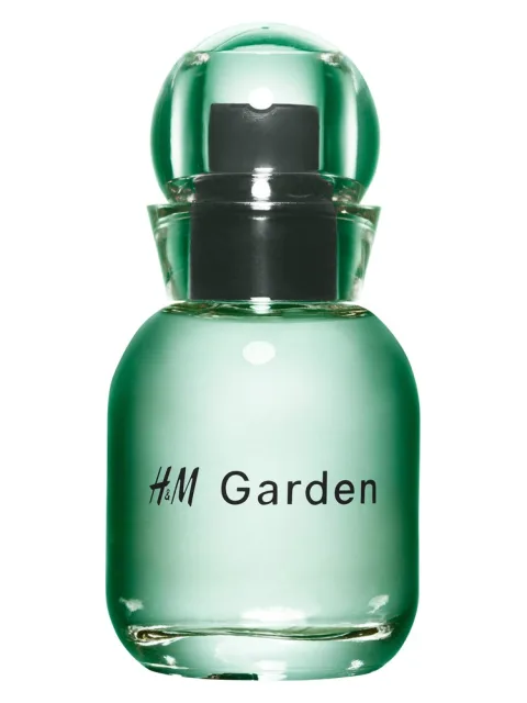 H&M Garden - Sunlit dew