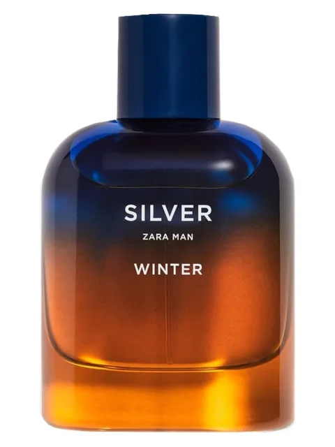 Silver Winter Zara Man