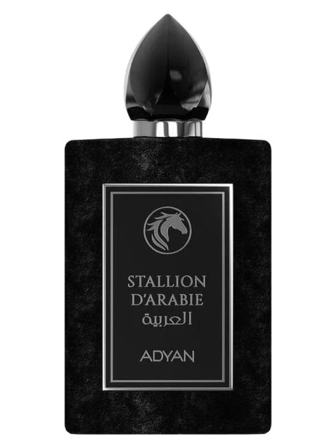 Stallion D'Arabie