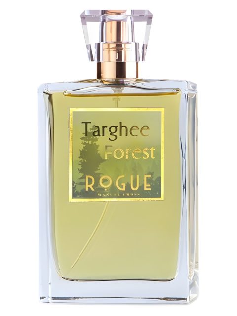 Targhee Forest