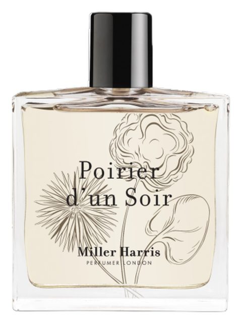 Poirier d'un Soir