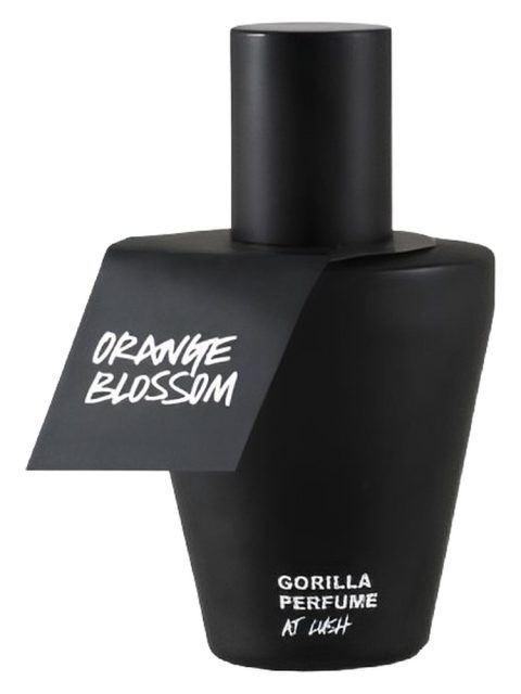 Orange Blossom