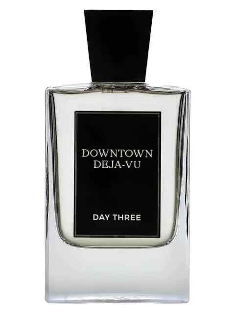 Downtown Deja-Vu