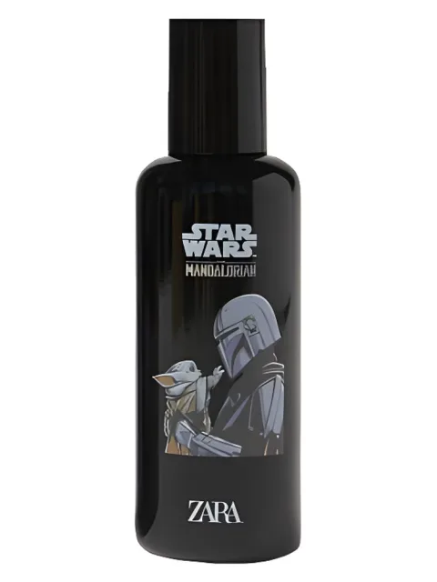 Star Wars The Mandalorian