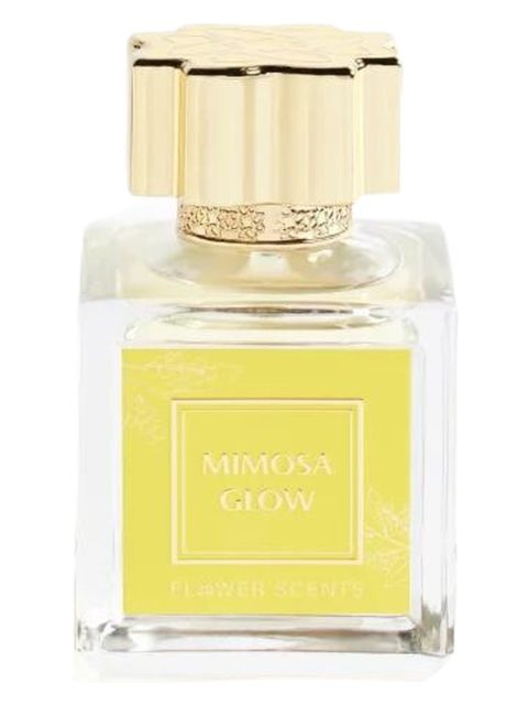 Mimosa Glow