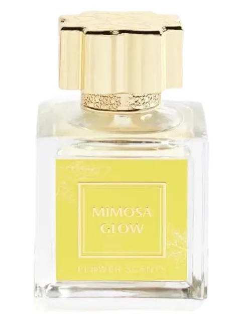 Mimosa Glow