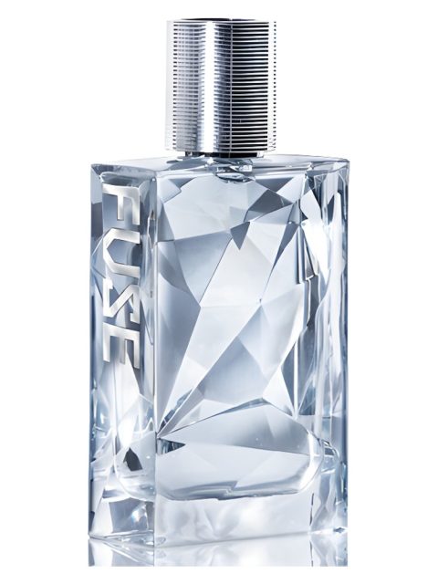 Fuse