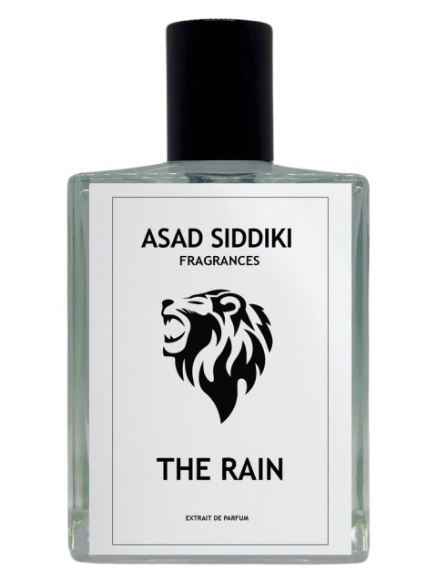 The Rain