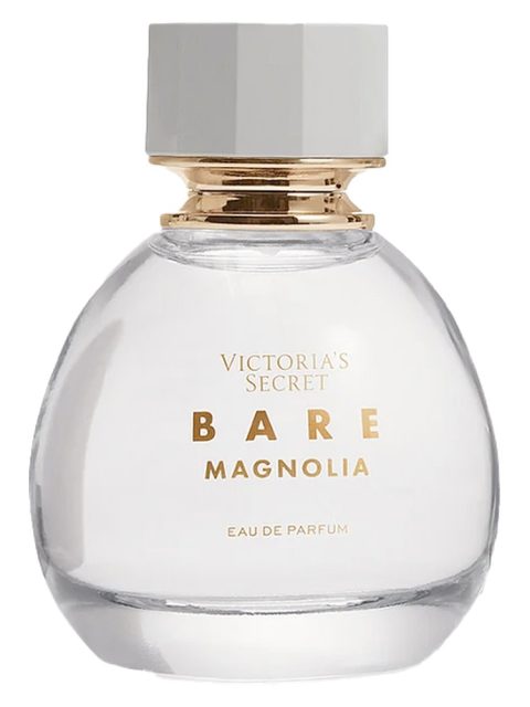 Bare Magnolia