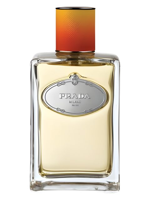 Infusion de Fleur d'Oranger