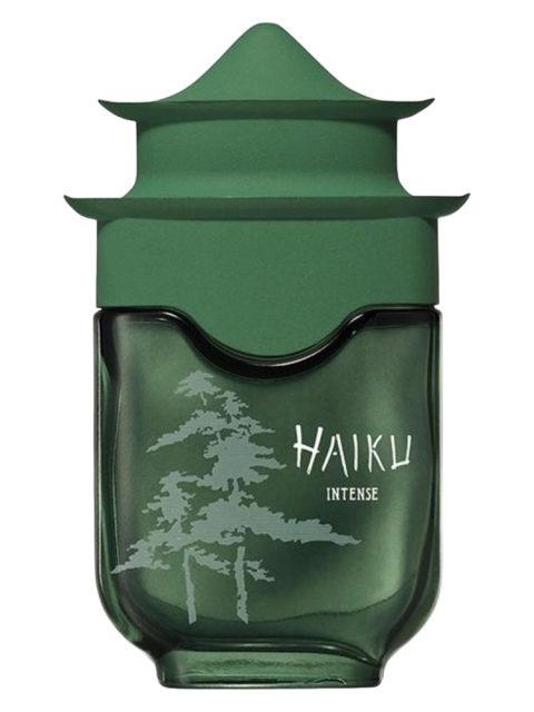 Haiku Intense