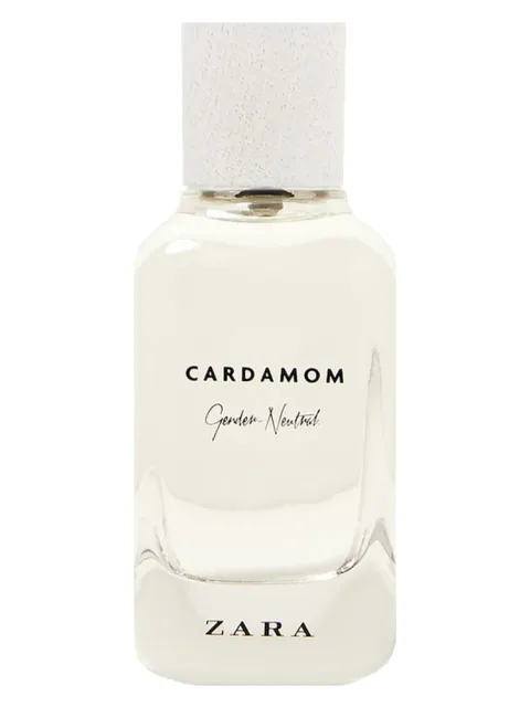 Cardamom - Gender Neutral