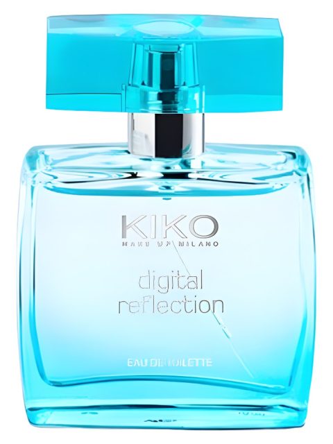 Digital Reflection