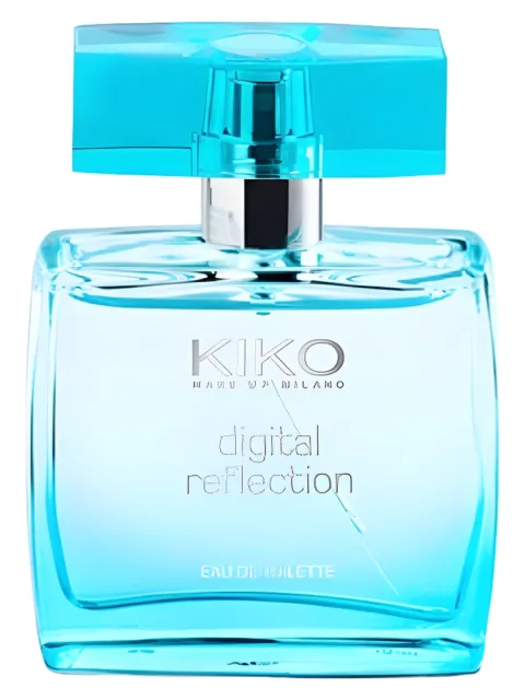 Digital Reflection