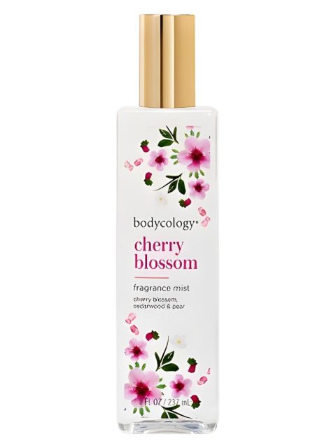 Cherry Blossom
