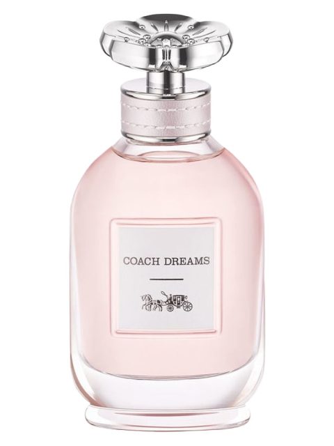 Coach Dreams