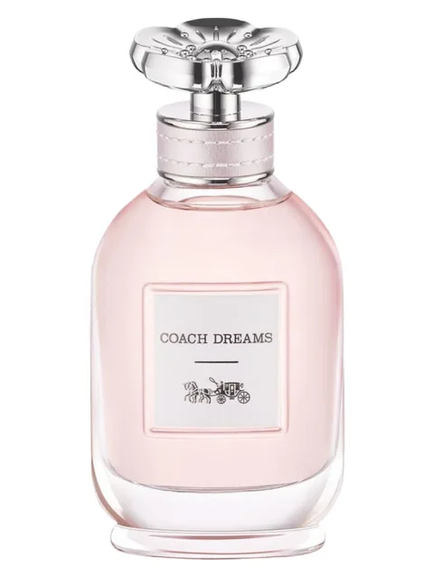 Coach Dreams