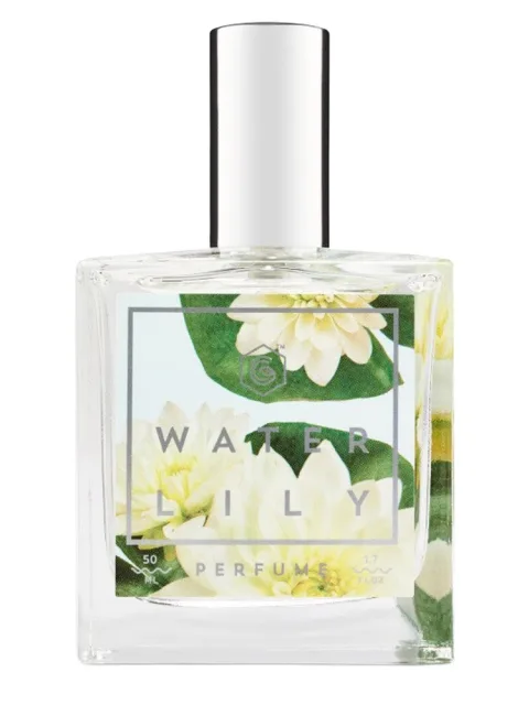 Water Lily
