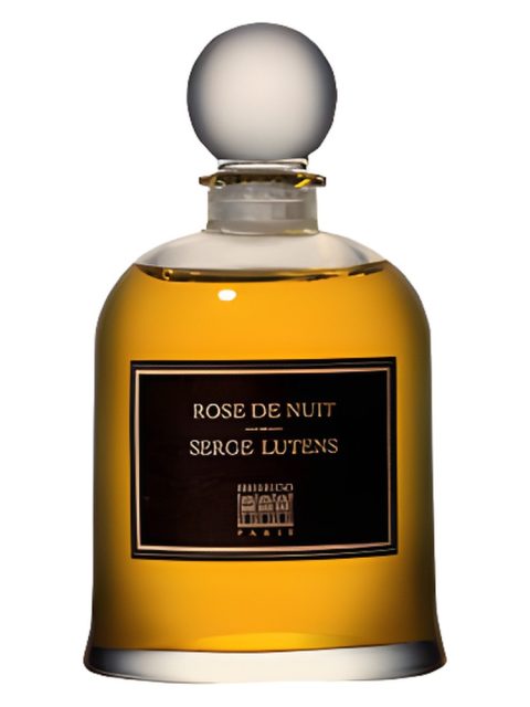 Rose de Nuit