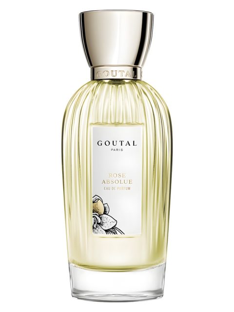 Rose Absolue