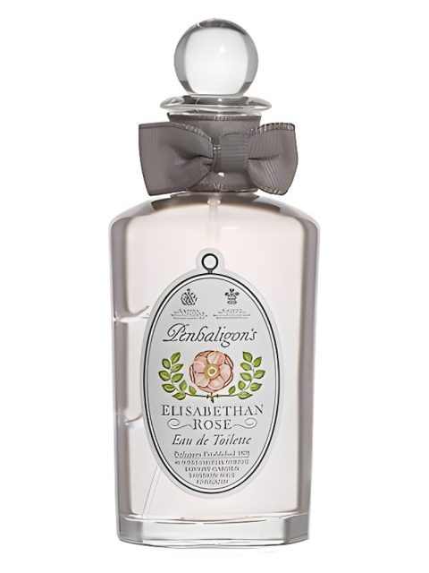 Elisabethan Rose - Vintage