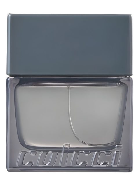 Colcci Silver