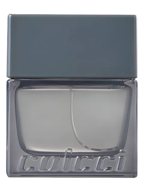 Colcci Silver