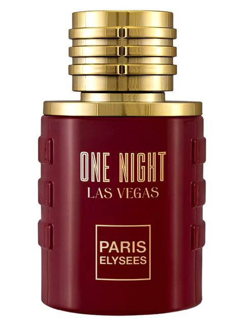 One Night Las Vegas