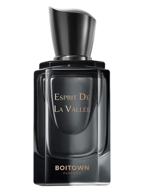 Esprit De La Vallée	卧游