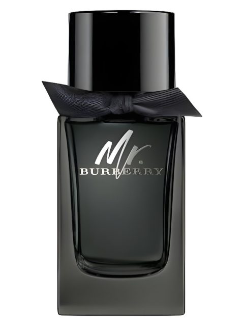 Mr. Burberry Eau de Parfum