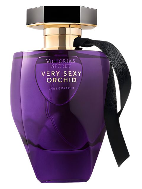 Very Sexy Orchid