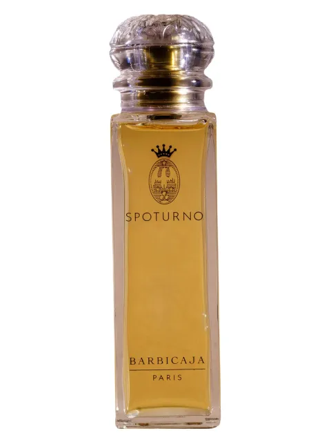 Barbicaja