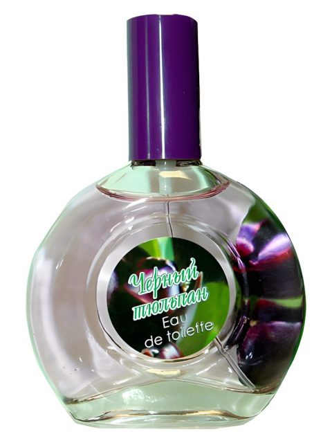 Black Tulip Черный Тюльпан