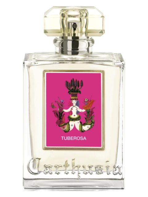 Tuberosa