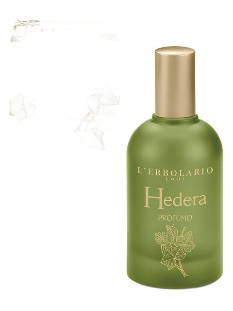 Hedera