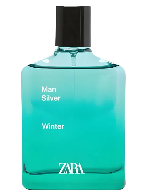 Man Silver Winter