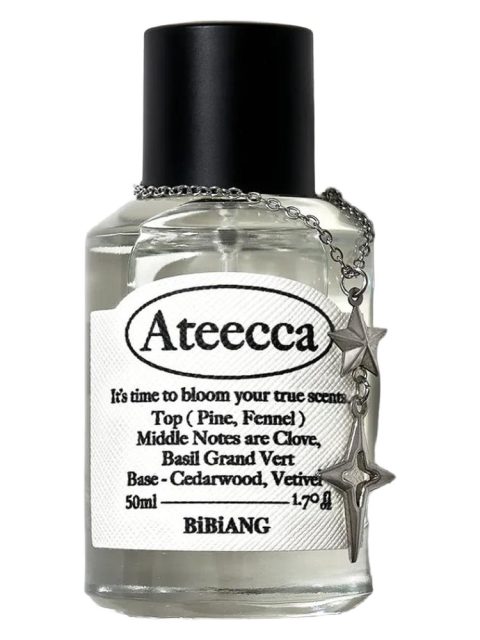 Ateecca