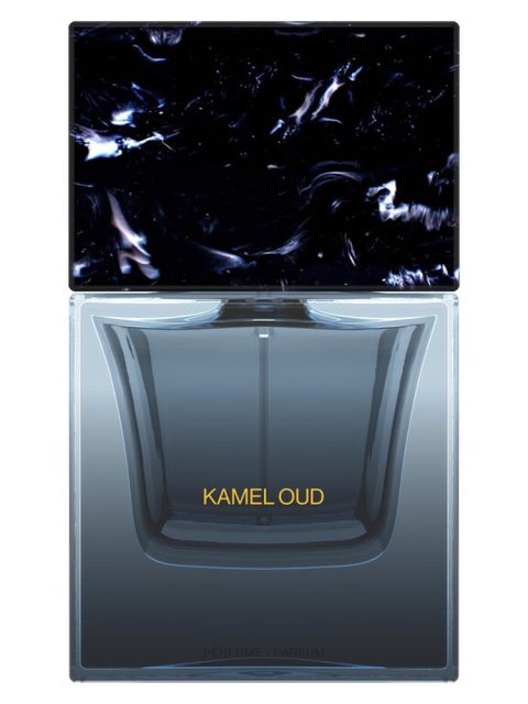 Kamel Oud