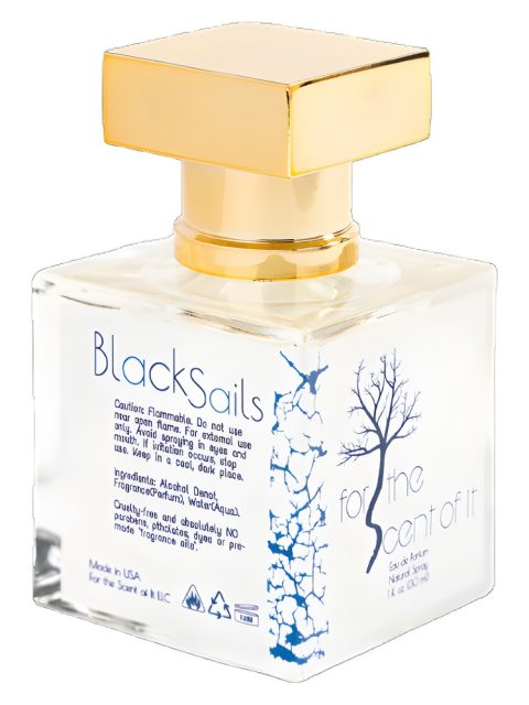 Black Sails
