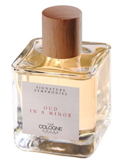 Oud in A Minor