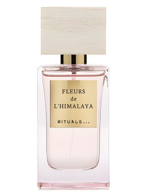 Fleurs de L'Himalaya