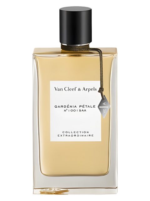 Gardenia Petale