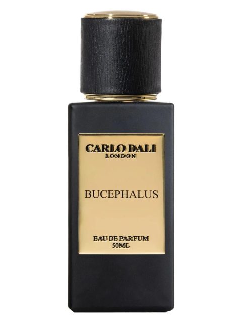 Bucephalus