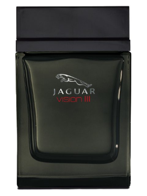 Jaguar Vision III