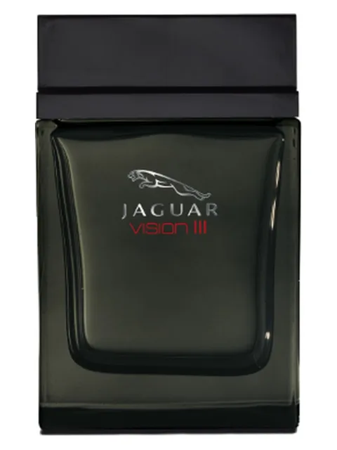 Jaguar Vision III