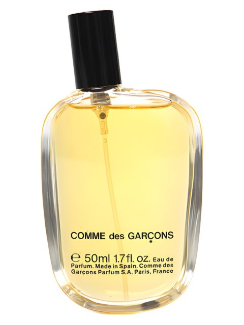 Comme des Garcons