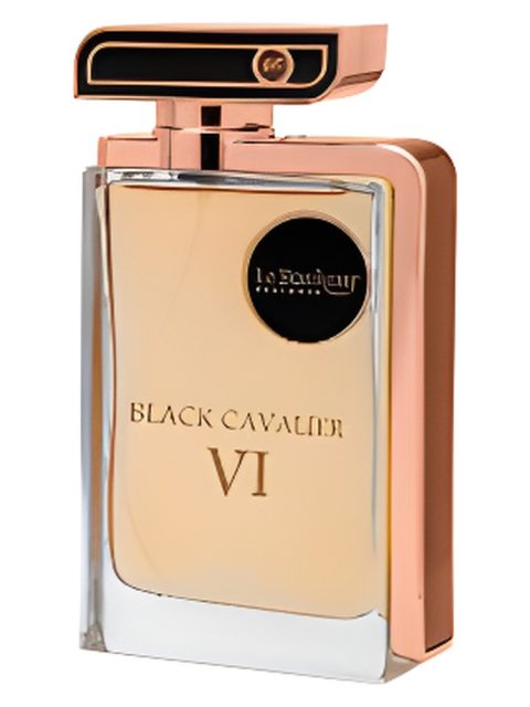 Black Cavalier VI