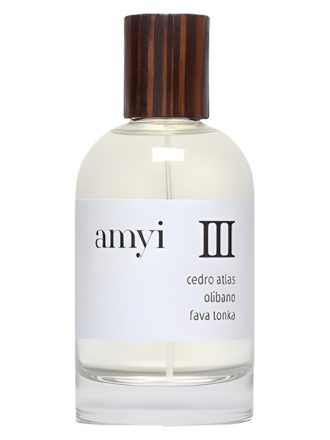 Amyi III