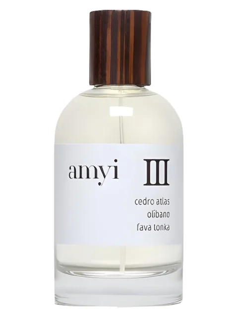 Amyi III