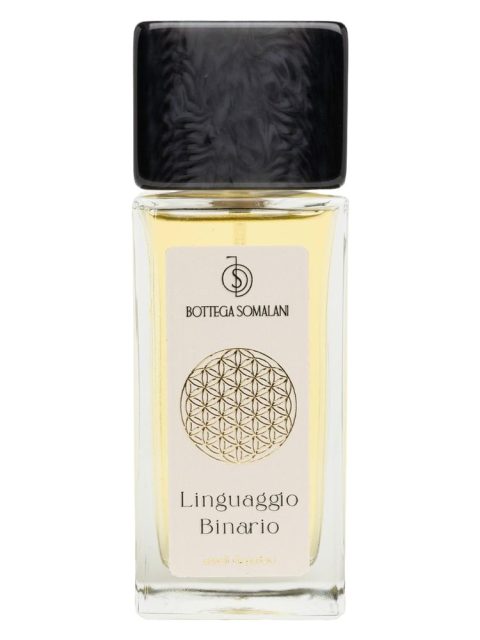 Linguaggio Binario
